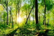 「森と建築セミナー」に参加してきました。