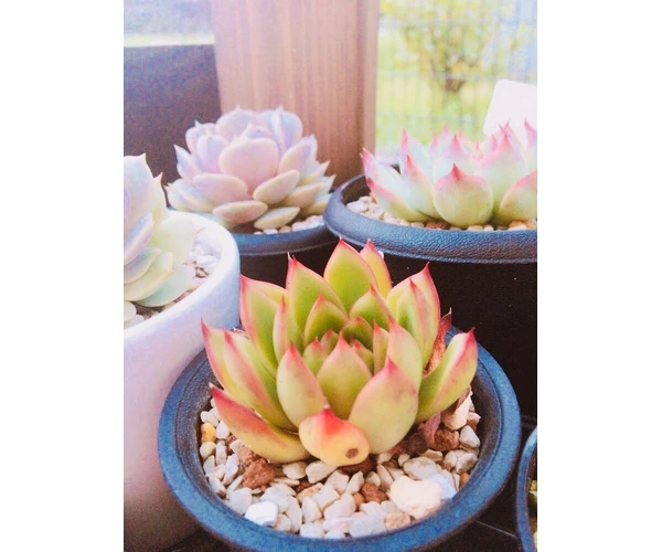はじめまして♪
