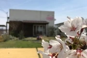 ハナコの野菜たち