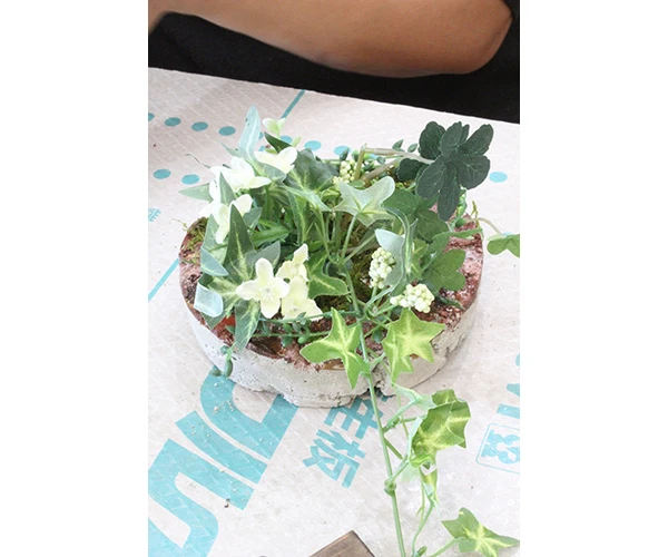 新潟市中央区でワークショップ開催♪～デザインコンクリートで鉢植え作り～